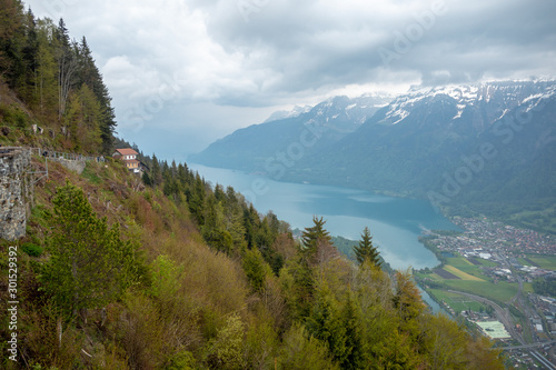 Beautiful panorama view of fresh forest on mountain with lake brienz, mountains and cloudy sky background looking from harder kulm with copy space
