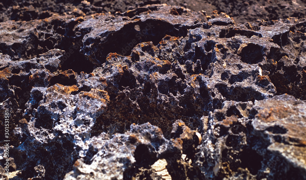 lava rock along the coastline