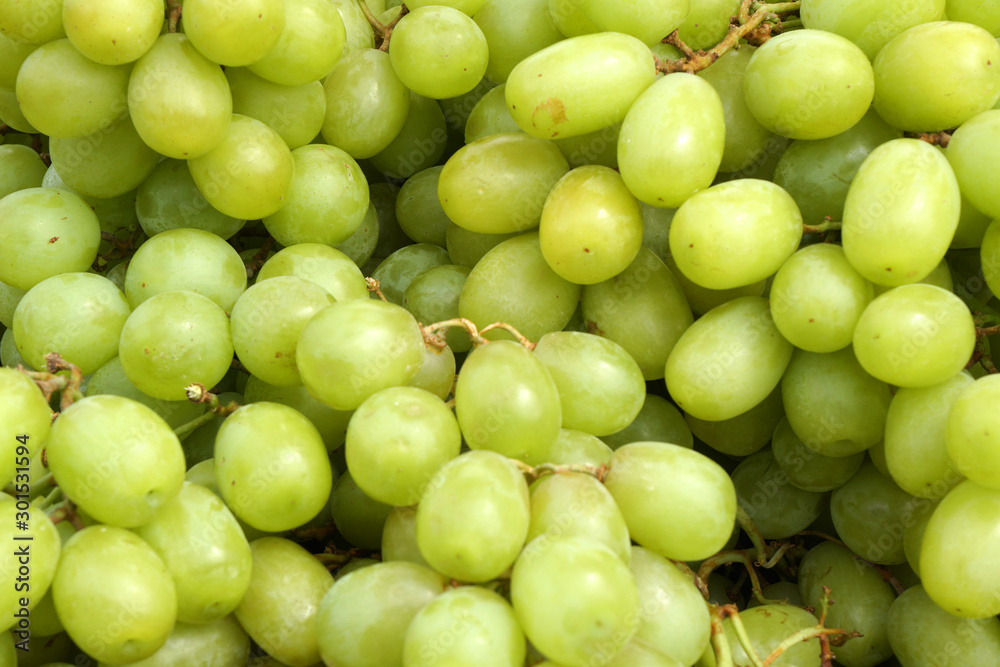 Closeup fresh green grape fruit at fruit market - green patterns Closeup fresh green grape fruit at fruit market - green patterns