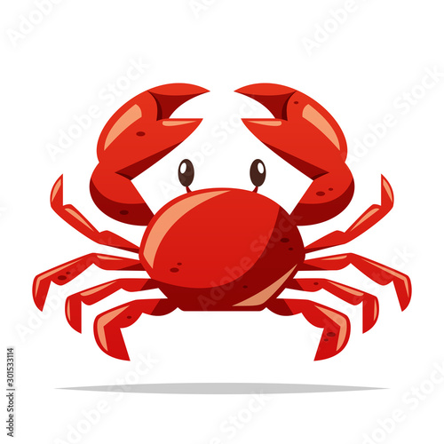 Crab seafood vector isolated illustration