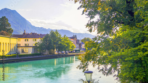 The beautiful view of lake, trees, flowers in the interlaken region of switzerland