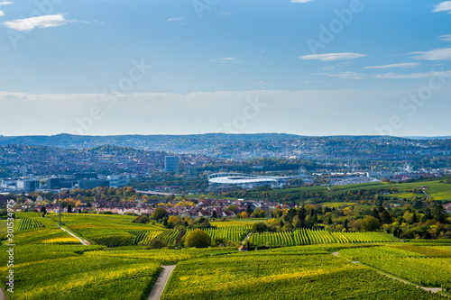 Obraz na płótnie Germany, View over skyline, roofs, houses vineyard and arena of city stuttgart from above in autumn season on sunny day w salonie