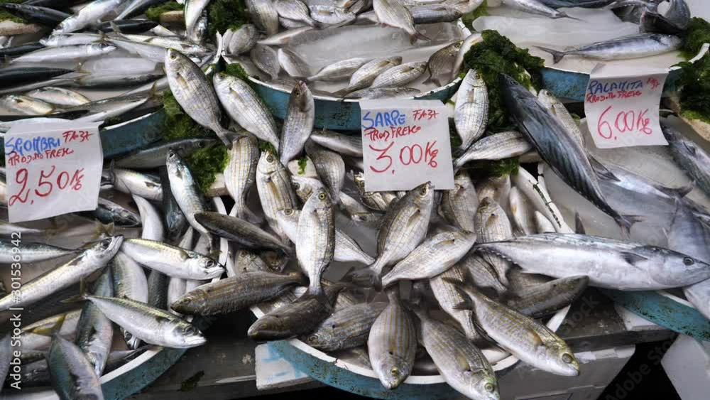 Selection of Fresh Fish, Sardines, Mackerel and Palamita, at an Italian Fishmonger on a Market in Naples, Italy Selection of Fresh Fish, Sardines, Mackerel and Palamita, at an Italian Fishmonger on a Market in Naples, Italy