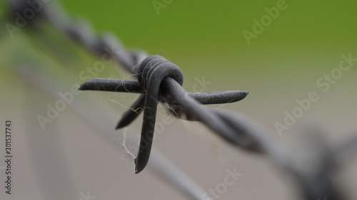 closeup of a barbed wire