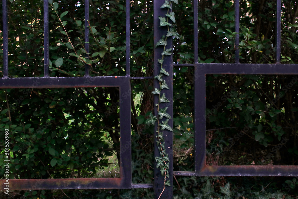 Fence in the countryside Fence in the countryside