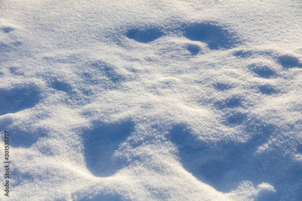 A blanket of white snow in winter