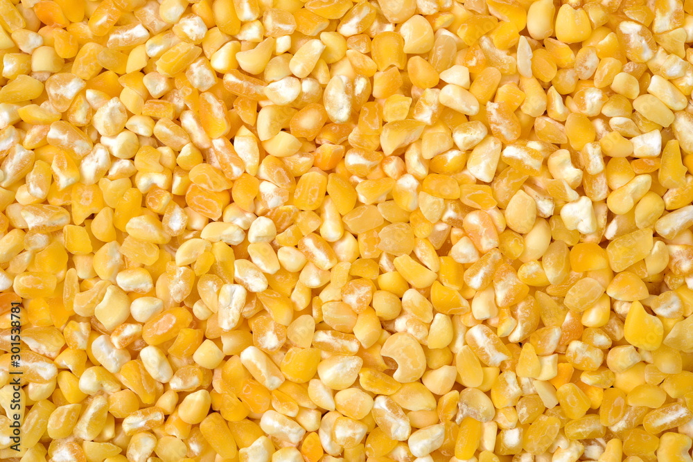 raw crushed corn groats close up raw crushed corn groats close up