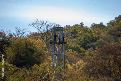 Zip lines over the tree canopy in Mpumalanga, South Africa photo