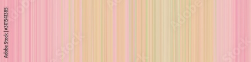 multicolored horizontal header banner with stripes and baby pink, pastel magenta and burly wood colors