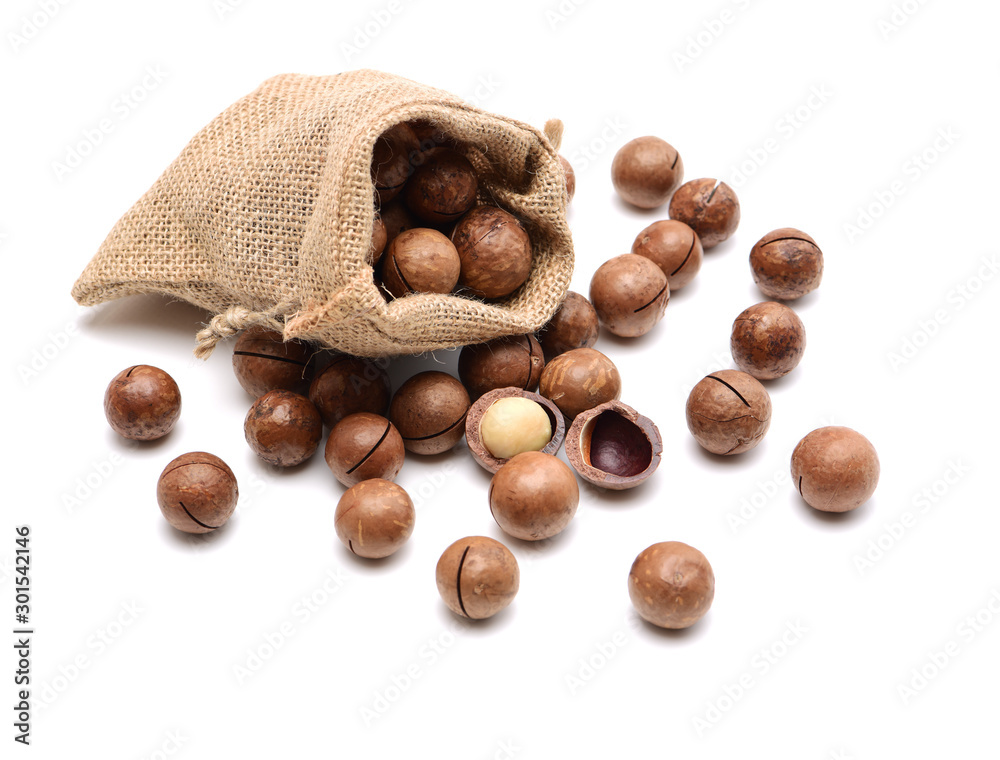 Shelled and unshelled macadamia nuts on white background