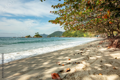 Castelhanos Beach is famous for the off road gang, the main access is a road adventure from Ilhabela State Park on the Island in Sao Paulo, with tropical vegetation and paradise scenery in Brazil.
