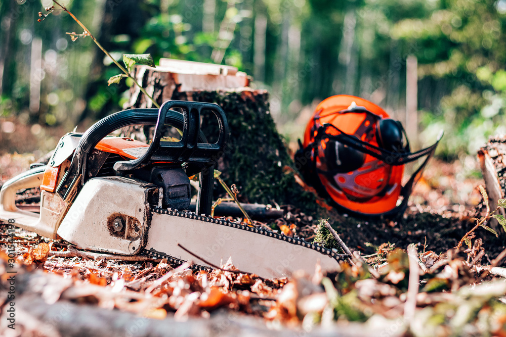 chainsaw and helmet in the forest, deforestation for logging