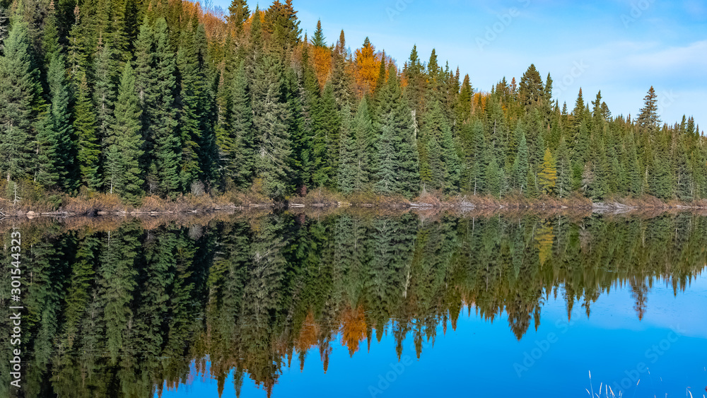 Canada, panorama of a lake in the forest during the Indian summer, reflection of the trees in the water
