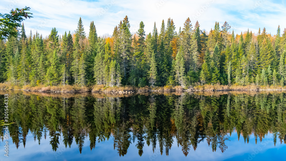 Canada, panorama of a lake in the forest during the Indian summer, reflection of the trees in the water