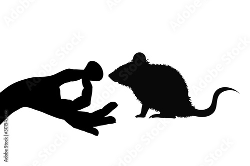 Vector silhouette of person who give food mouse on white background. Symbol of animal, eat, care, save.