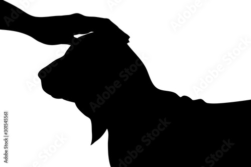 Vector silhouette of person who fondle his dog on white background. Symbol of animal, pet, care, love, save, vet, veterinary.