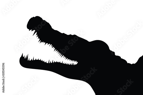 Vector silhouette of alligator on white background. Symbol of animal, wild, danger, zoo, predator, reptile.