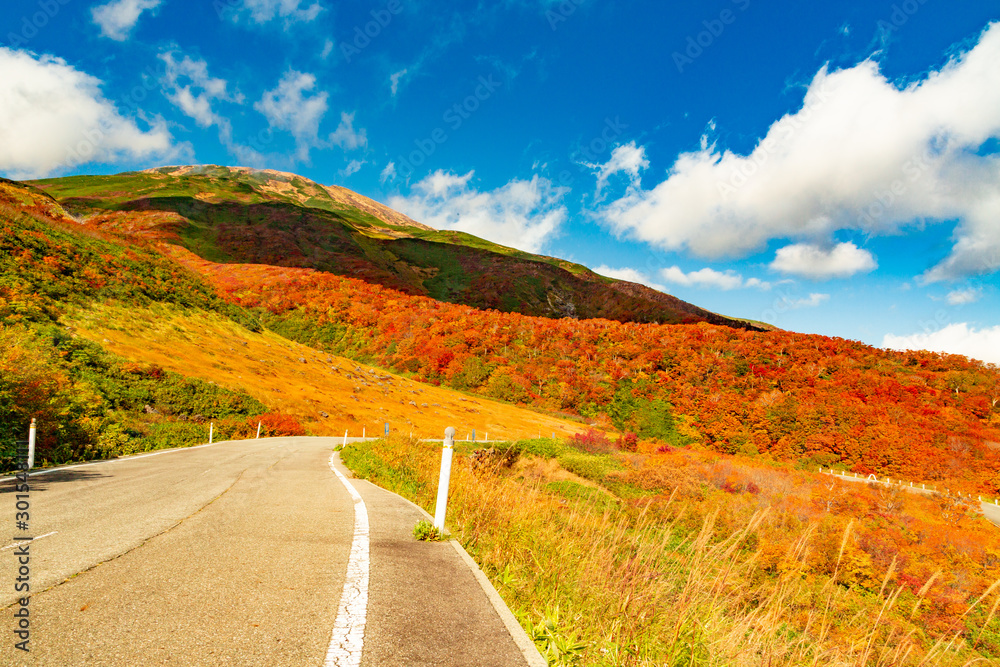 鳥海山の紅葉