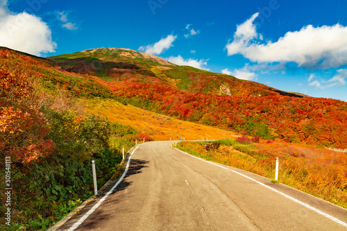 鳥海山の紅葉