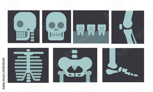Xray of human body, teeth and bone in flat design illustration vector