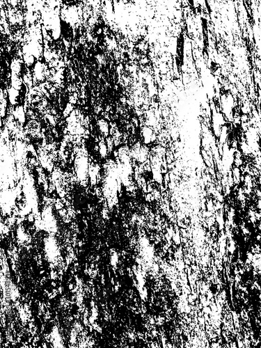 Wallpaper Mural Wood Texture Torontodigital.ca