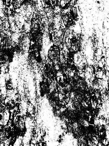 Wallpaper Mural Wood Texture Torontodigital.ca