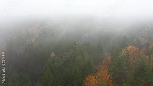 Wallpaper Mural Aerial view of foggy and cloudy autumn season forest. Drone shot. Flying between low clouds. Torontodigital.ca