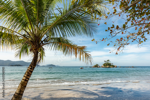 Fototapeta Naklejka Na Ścianę i Meble -  Beautiful view of Castelhanos beach with palm tree and blue sea in Ilhabela, tropical paradise on the coast of Sao Paulo in Brazil