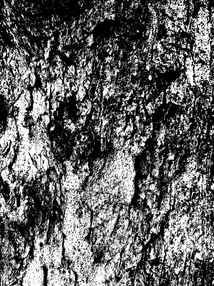 Wood Texture