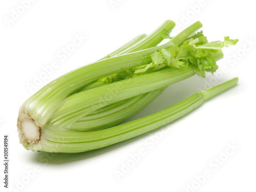 Celery on a white background
