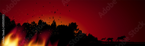 Burning forest trees in fire flames. Concept, vector illustration.