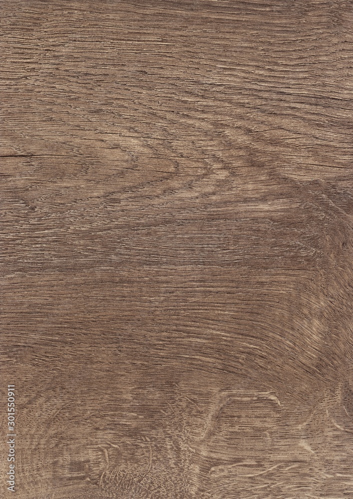 A Regular wood texture with vertical and horizontal lines. Subtle grey wooden background for natural banner. Timber surface closeup. Natural material for banner template. A Regular wood texture with vertical and horizontal lines. Subtle grey wooden background for natural banner. Timber surface closeup. Natural material for banner template.