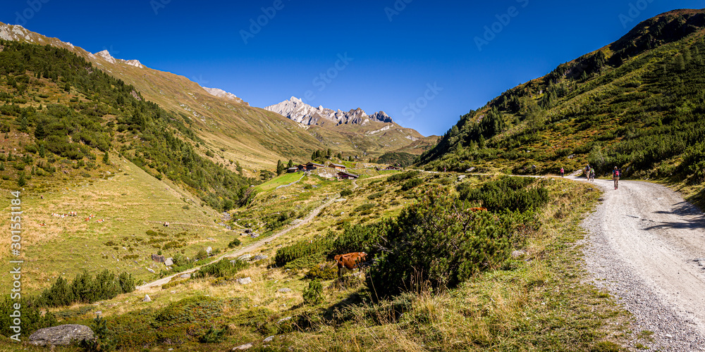 Auf einer Wanderung zur Kuttenalm in Süd Tirol