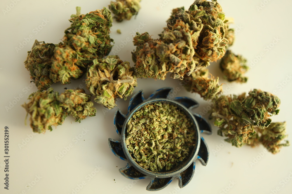 Fototapeta premium grinded medical cannabis hemp buds