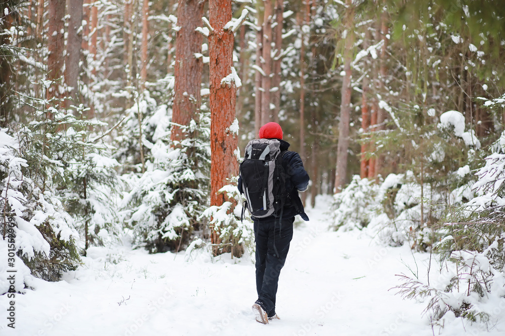 A man travels with a backpack. Winter hike in the forest. Tourist on a walk in the winter in the park.
