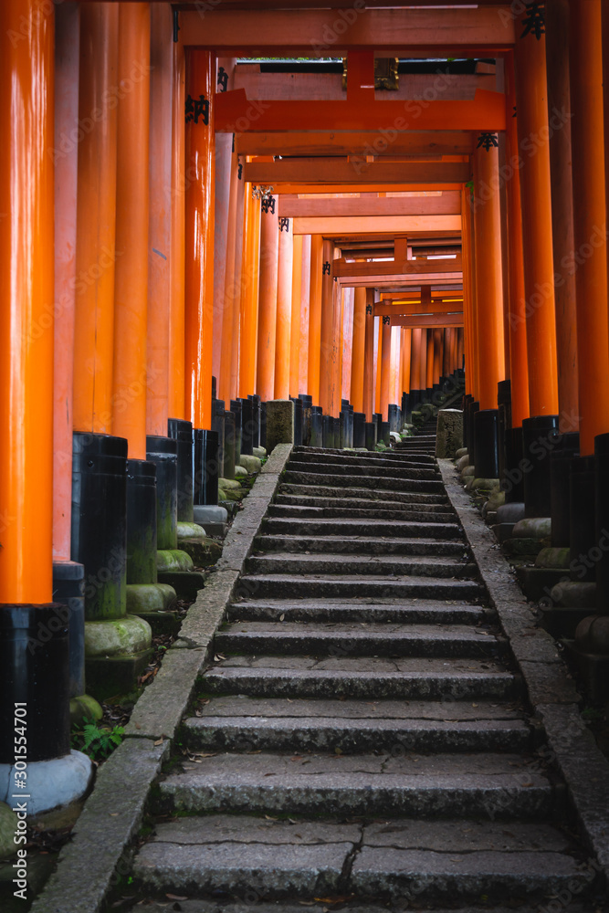 Red Torii gates in Fushimi Inari shrine in Kyoto, Japan Red Torii gates in Fushimi Inari shrine in Kyoto, Japan