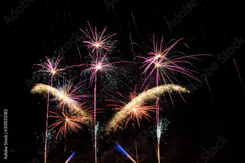 Different types of vibrant fireworks exploding in the night sky