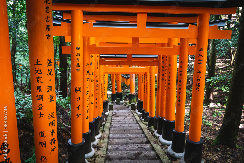Red Torii gates in Fushimi Inari shrine in Kyoto, Japan Red Torii gates in Fushimi Inari shrine in Kyoto, Japan