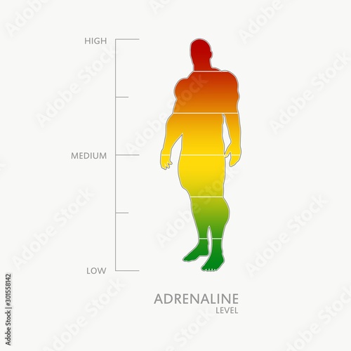 Hormone adrenaline level measuring scale. Health care concept illustration. Muscular man silhouette. From red to green scale.