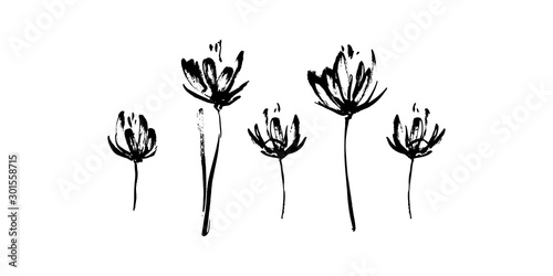 Set of hand drawn abstract modern flowers silhouette brush ink painting. Grunge style ink painted elements for design. Black isolated vector on white background
