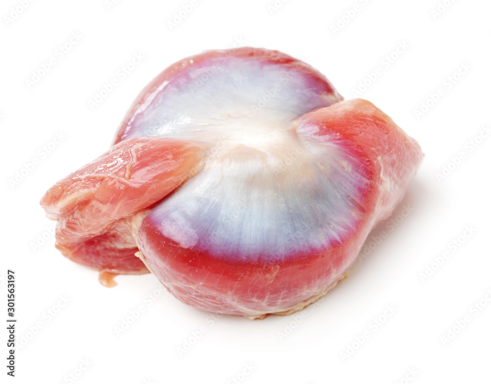 Raw Chicken gizzards on white background 