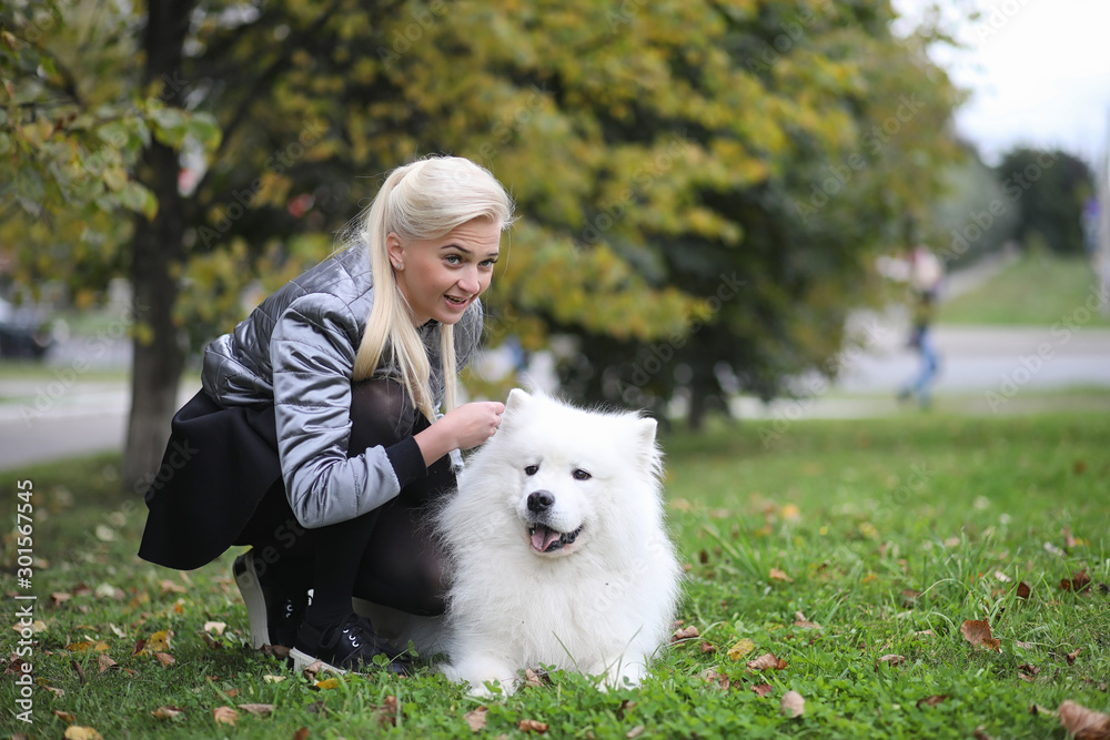 Lovely girl on a walk with a beautiful dog