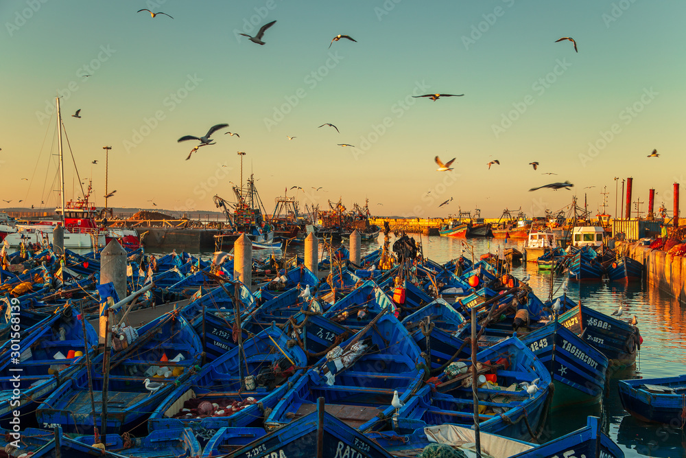 The famous blue boats in the port of Essaouira. - obrazy, fototapety, plakaty 