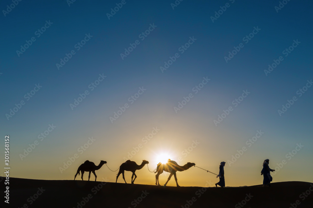 Nomads with dromedaries (camels) in the Sahara desert, Morocco. Nomads with dromedaries (camels) in the Sahara desert, Morocco.
