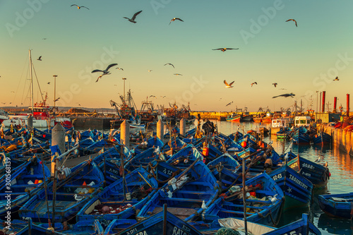 The famous blue boats in the port of Essaouira. photo