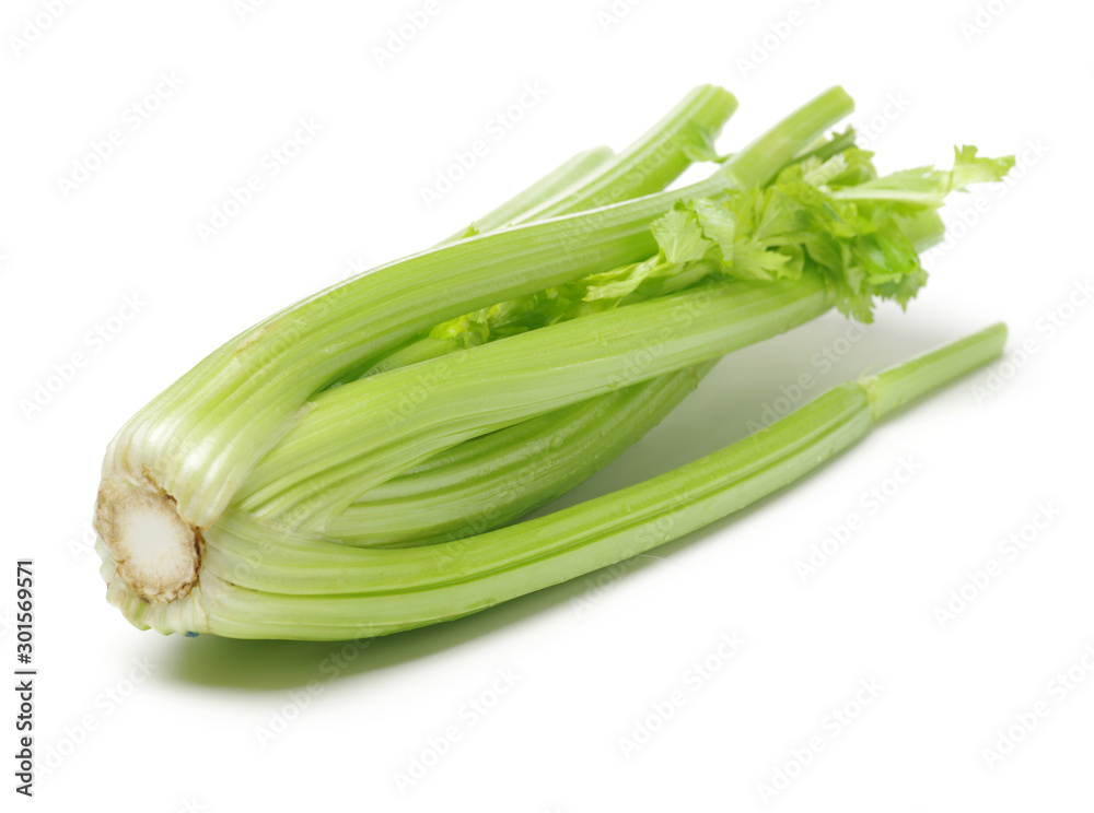 celery on a white background celery on a white background