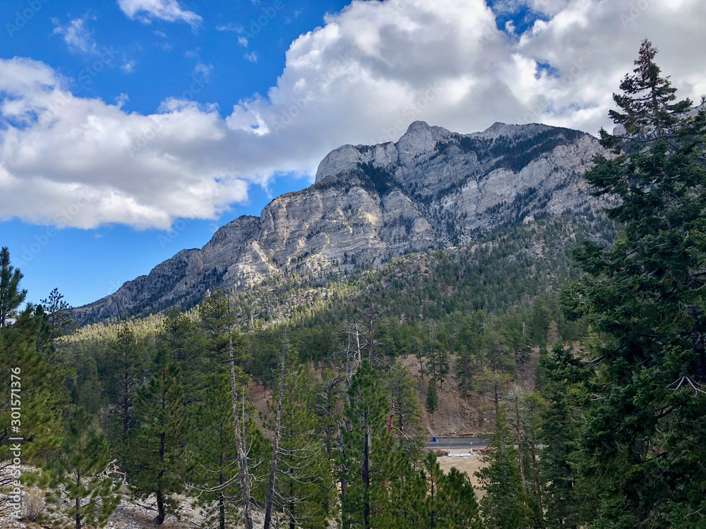 Mount Charleston, Nevada, USA