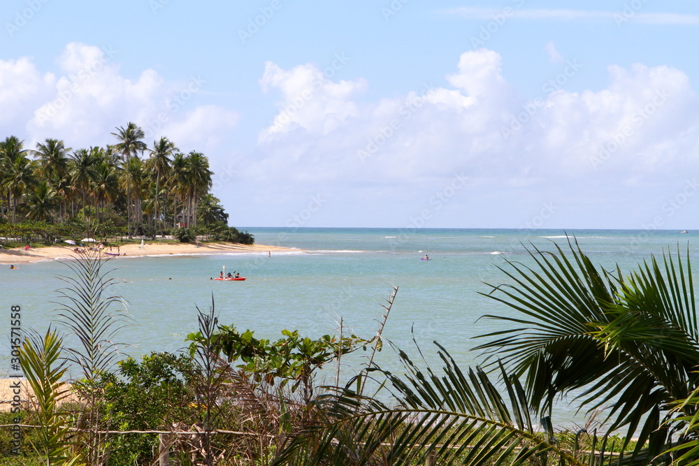 tropical beach with palm trees