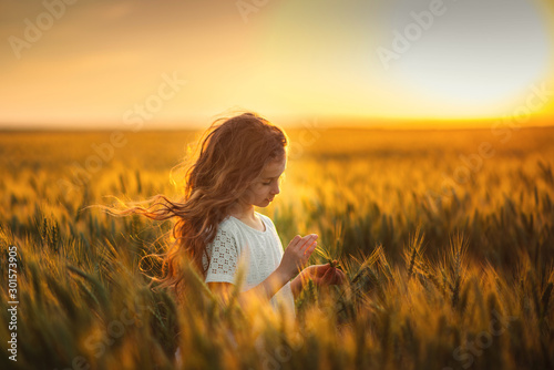 Little girl in a wheat field