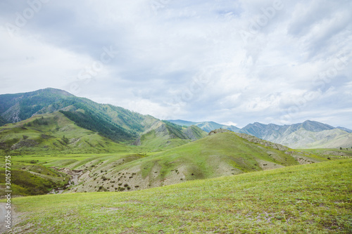Green hills landscape with mountains on background
